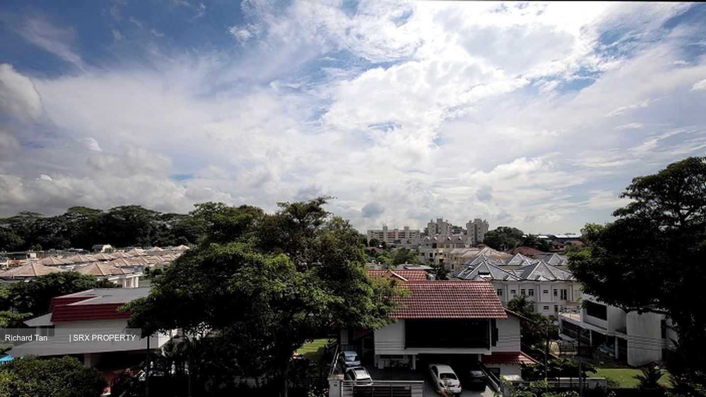 Raffles Park (D11), Detached #336414351